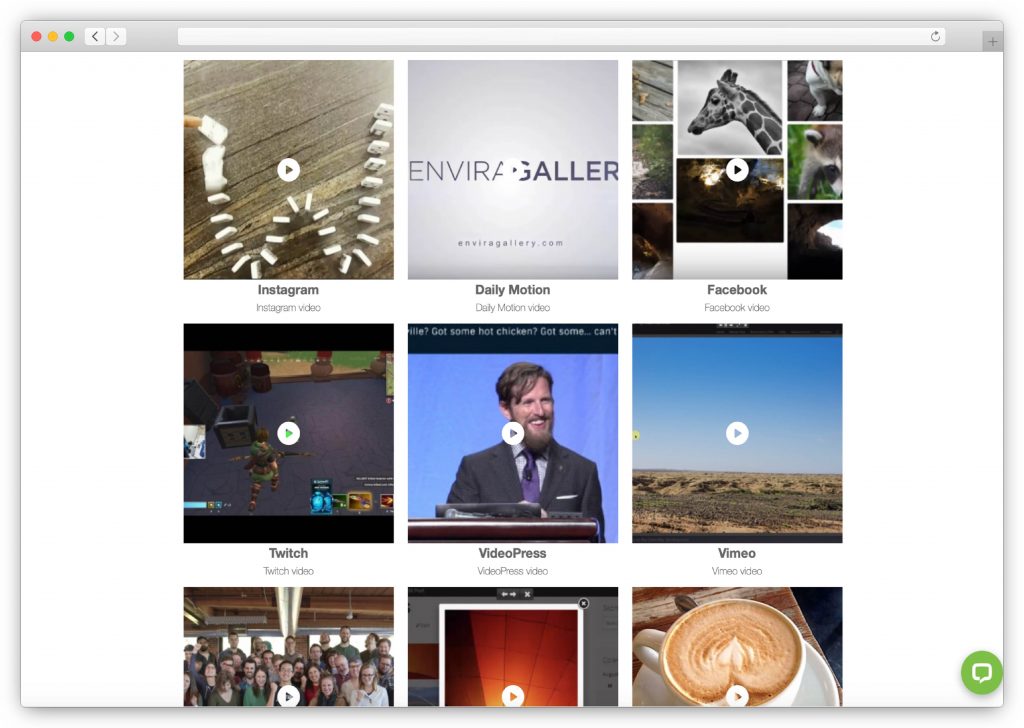 Envira video gallery