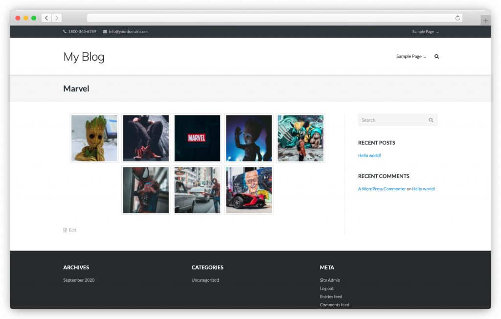 image gallery interface - WP gallery plugin
