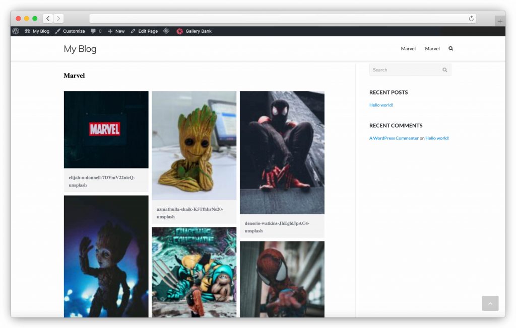 image gallery interface - WP gallery plugin