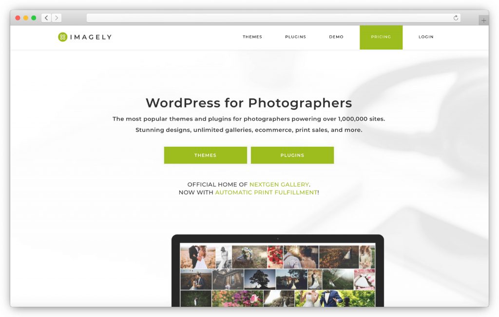 NextGEN interface - WP gallery plugin