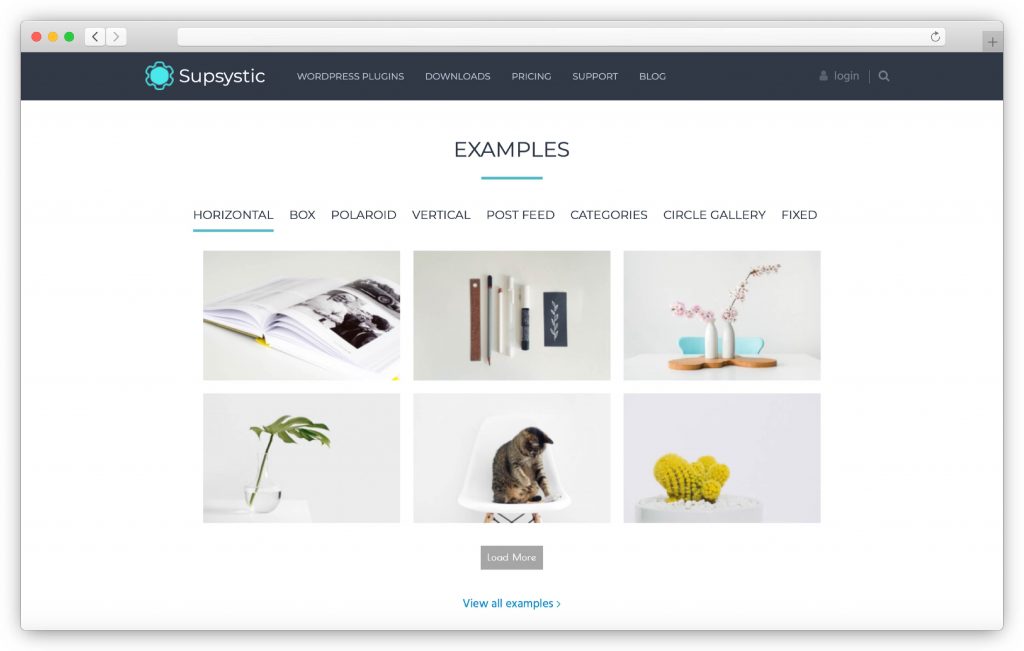 Supsystic interface - WP gallery plugin