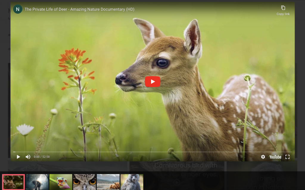 Your gallery interface