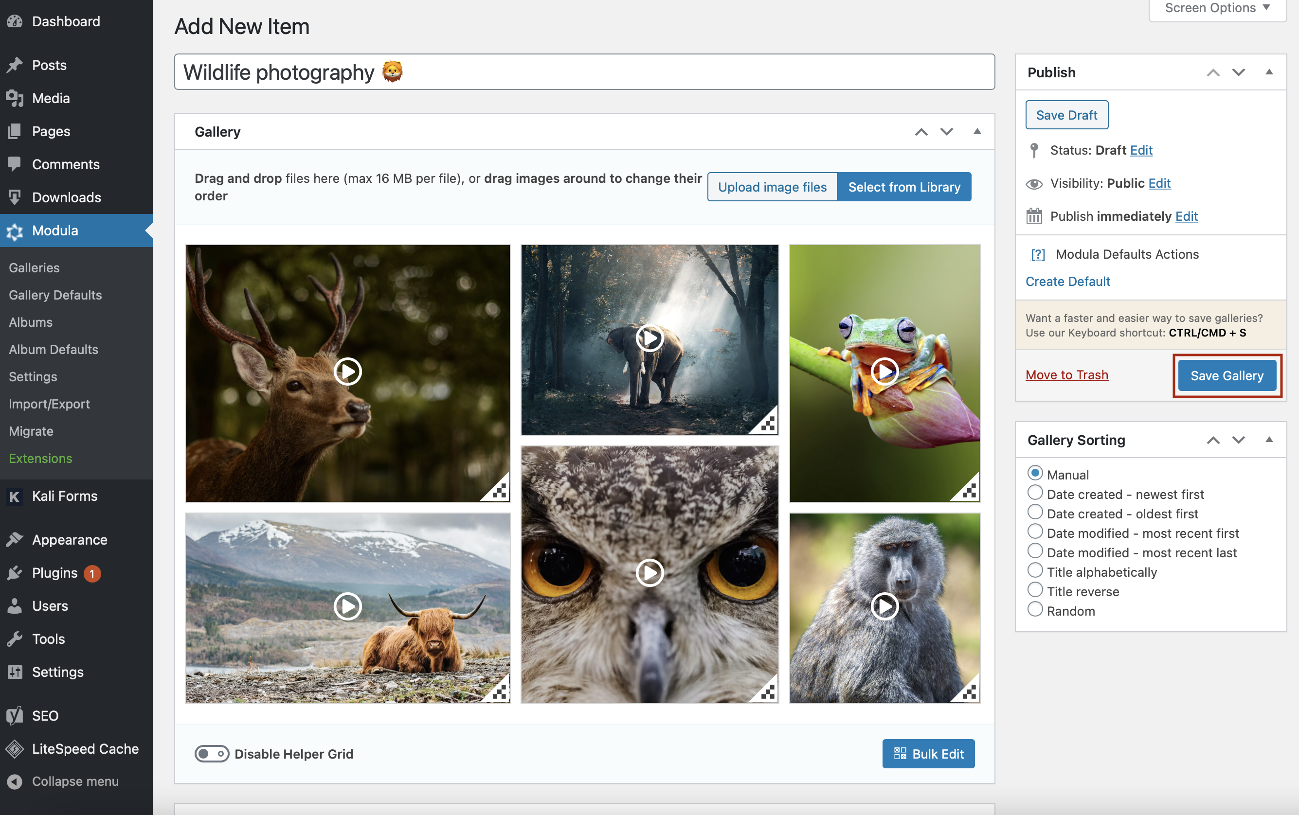WordPress multimedia gallery