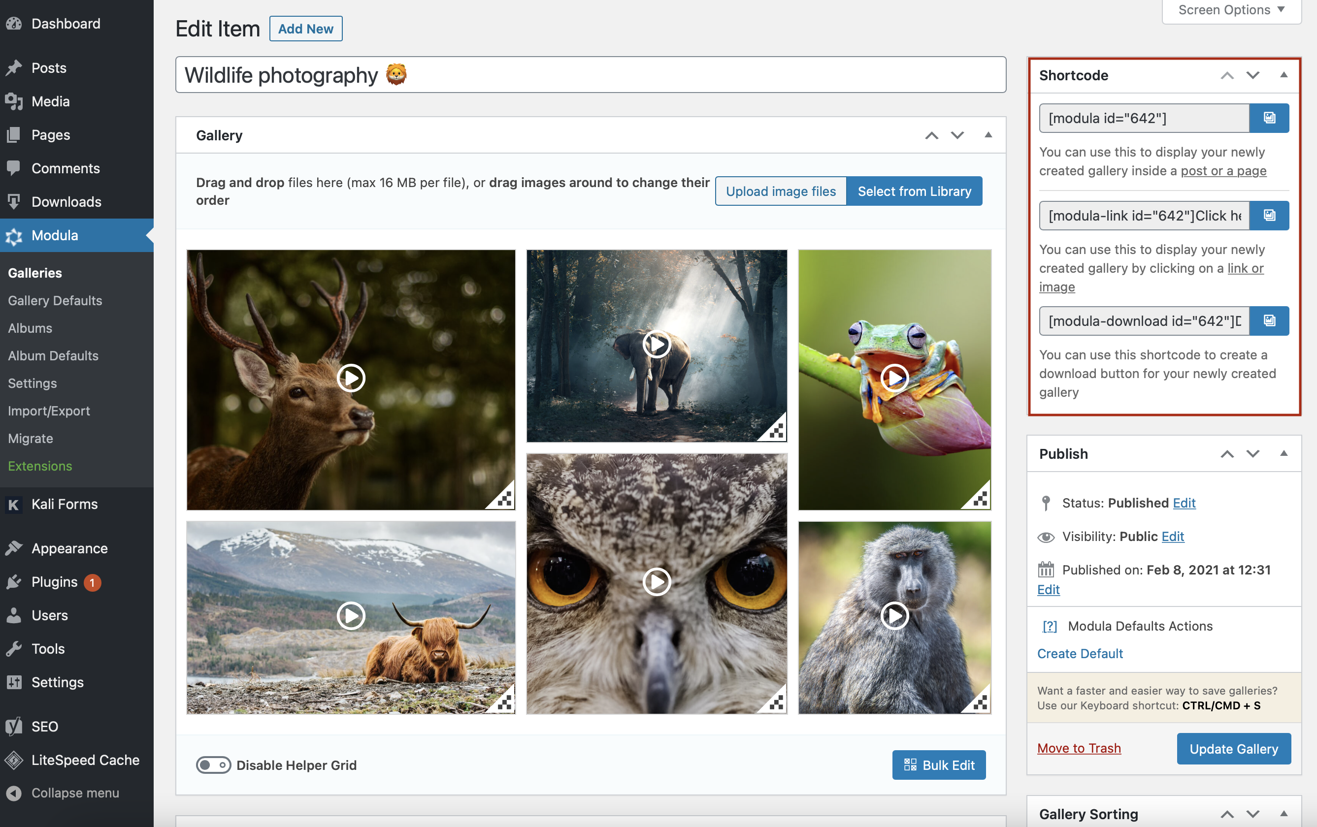 WordPress multimedia gallery