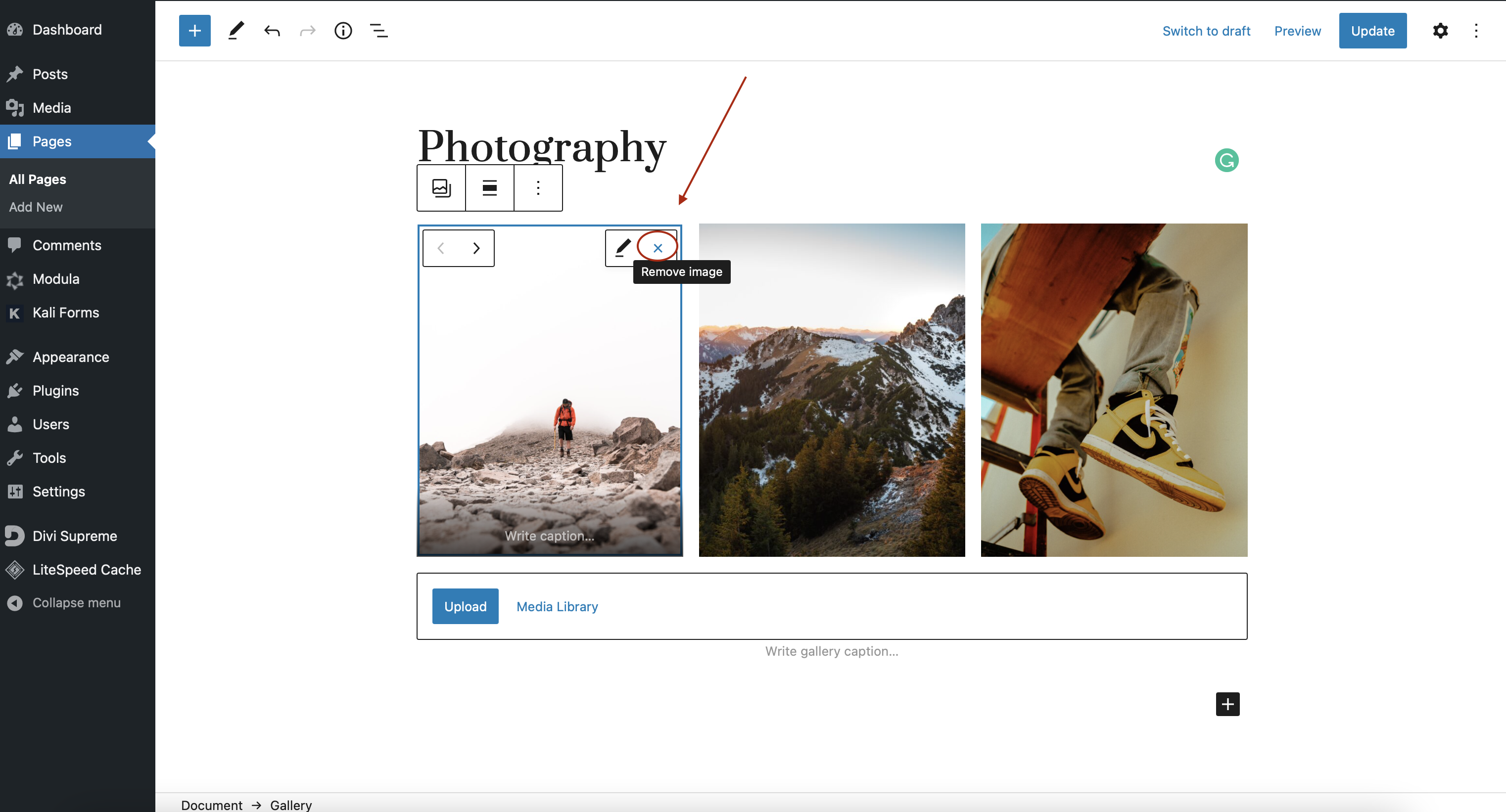 Delete images from WordPress gallery