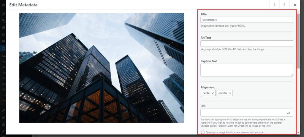 edit image information
