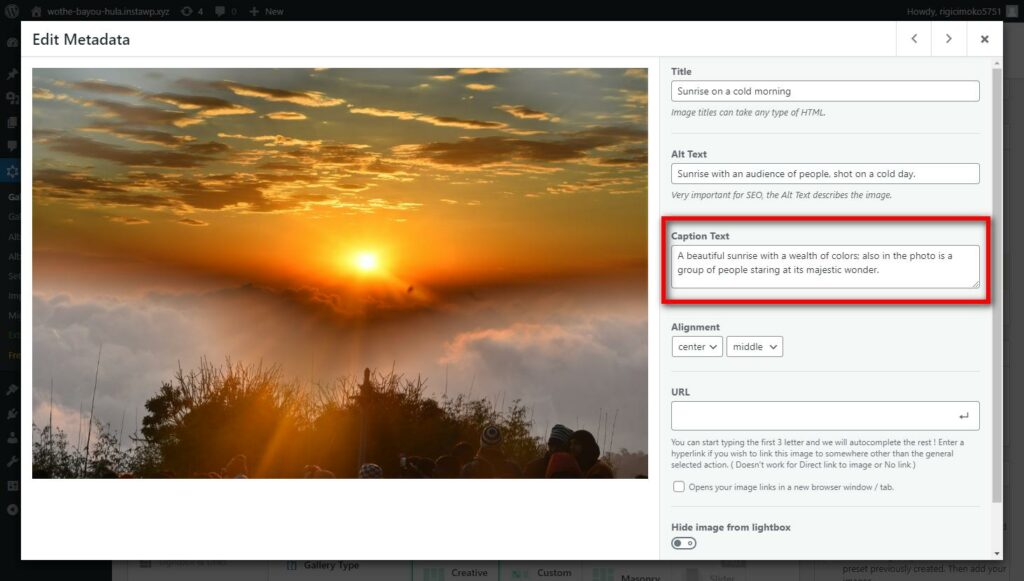 example of caption text