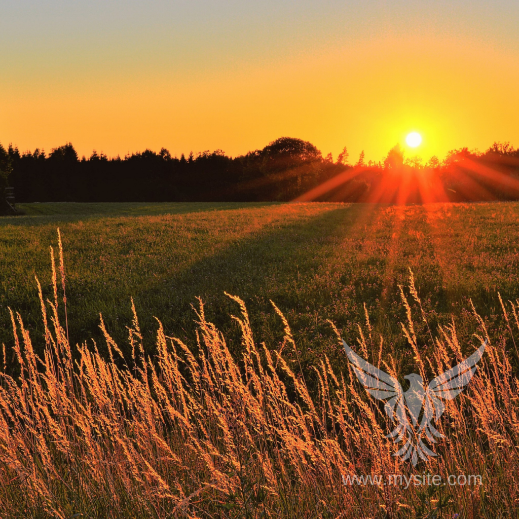 Example of an image with a watermark