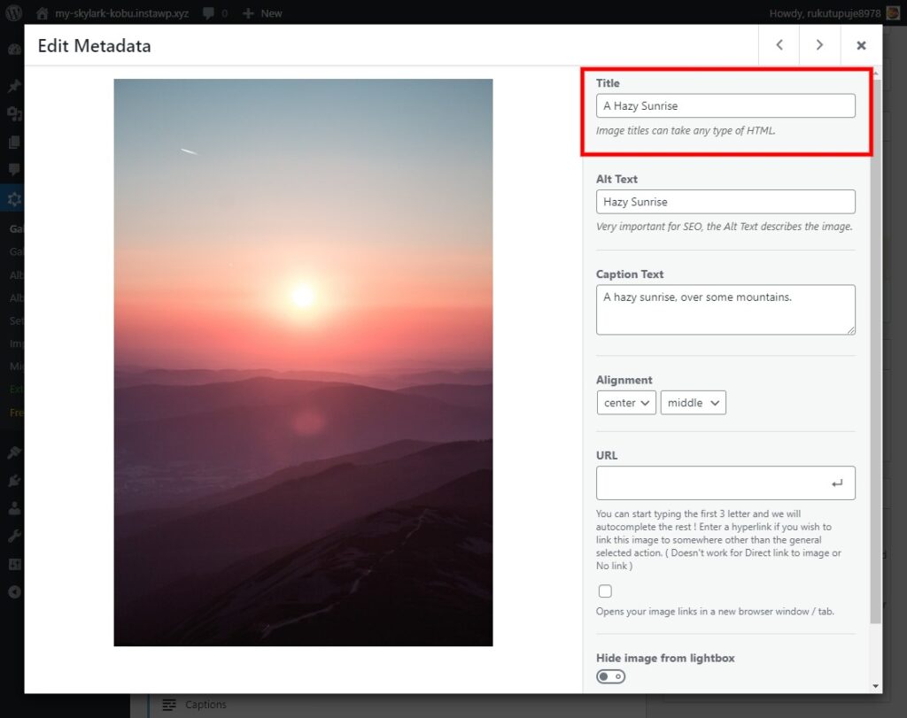 Add a descriptive title