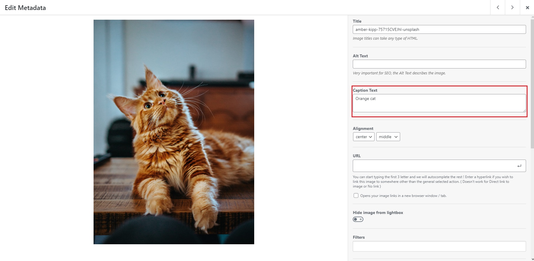 Edit image caption text