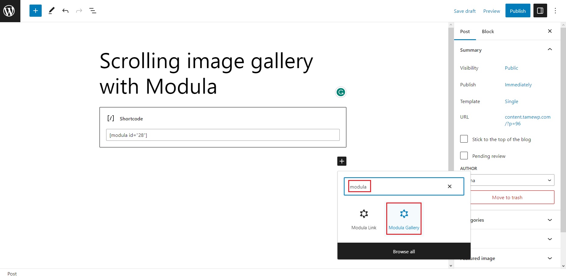 Search for Modula block