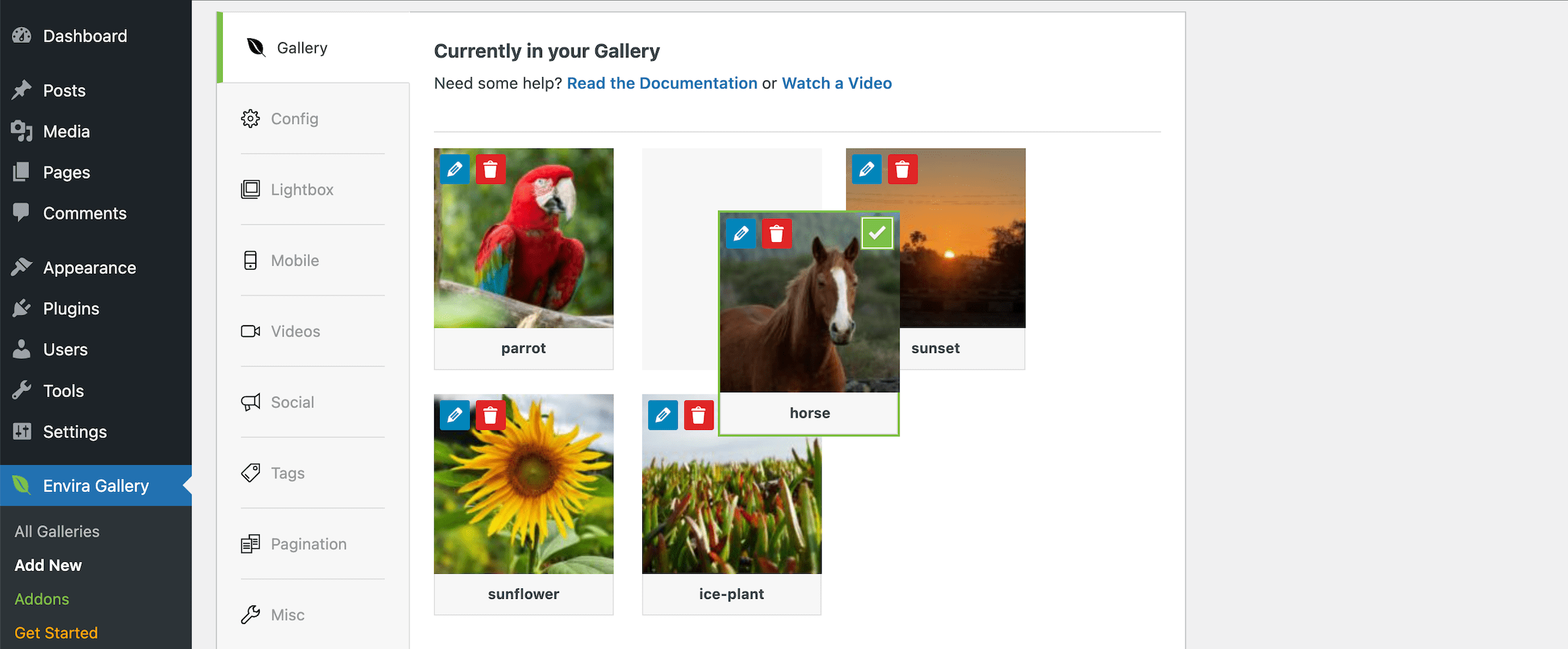Envira arrange images in gallery