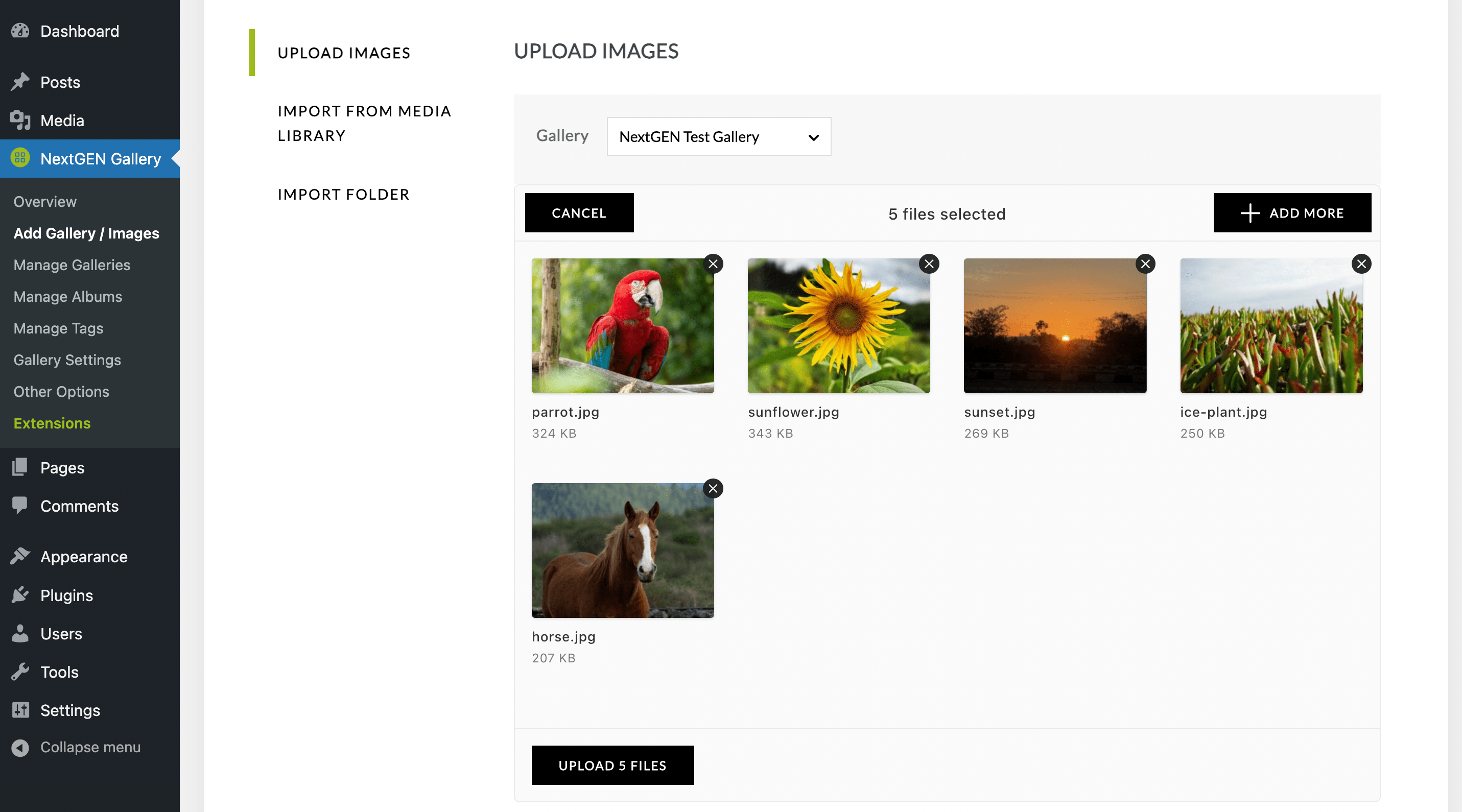 NextGEN import images