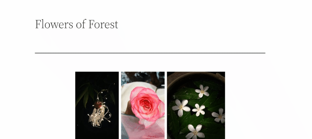 Image License Options in Modula Pro