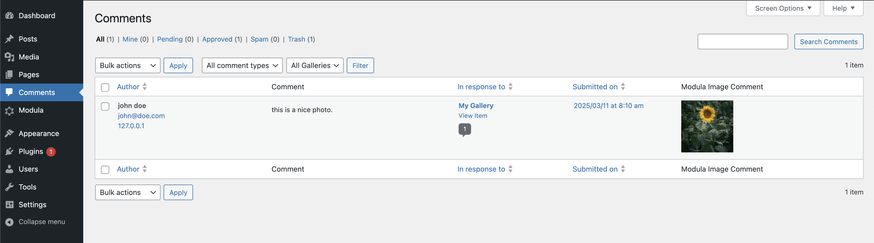 comments-in-wordpress-dashboard
